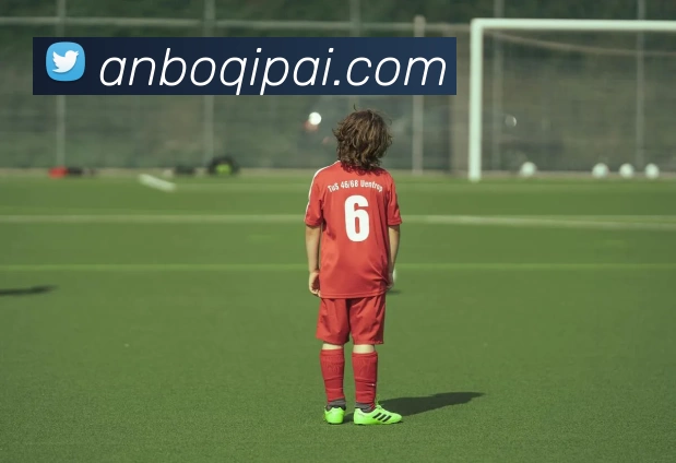 安博棋牌发展历程